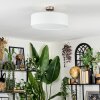 Foggia ceiling light matt nickel, 3-light sources