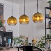 Koyoto hanging light, globe light, pendant light gold, clear, 3-light sources