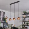 Ripoll hanging light, globe light, pendant light clear, coppery, 3-light sources