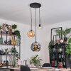 Koyoto hanging light, globe light, pendant light, Cluster pendant lamp Amber, clear, Smoke-coloured, 3-light sources