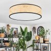 Foggia ceiling light matt nickel, 3-light sources