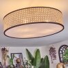 Foggia ceiling light matt nickel, 3-light sources