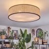 Foggia ceiling light matt nickel, 3-light sources