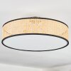 Foggia ceiling light matt nickel, 3-light sources