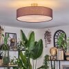 Foggia ceiling light matt nickel, 3-light sources