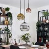 Ripoll hanging light, globe light, pendant light, Cluster pendant lamp chrome, gold, clear, coppery, Smoke-coloured, 3-light sources