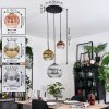 Ripoll hanging light, globe light, pendant light, Cluster pendant lamp chrome, gold, clear, coppery, Smoke-coloured, 3-light sources