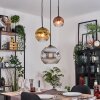 Ripoll hanging light, globe light, pendant light, Cluster pendant lamp chrome, gold, clear, coppery, Smoke-coloured, 3-light sources