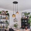 Ripoll hanging light, globe light, pendant light, Cluster pendant lamp chrome, gold, clear, coppery, Smoke-coloured, 3-light sources