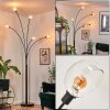 Nikkala floor lamp black, 5-light sources