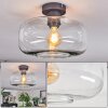 Boza ceiling light clear, 1-light source