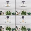 Boza ceiling light clear, 1-light source