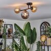 Chehalis ceiling light, globe light Amber, Smoke-coloured, 3-light sources