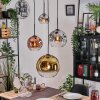 Ripoll hanging light, globe light, Cluster pendant lamp chrome, gold, clear, coppery, Smoke-coloured, 4-light sources