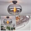 Apedo ceiling light, globe light clear, Smoke-coloured, 1-light source