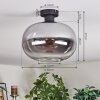Apedo ceiling light, globe light clear, Smoke-coloured, 1-light source