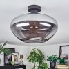 Mertola ceiling light Smoke-coloured, 1-light source
