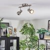 Edain ceiling light, ceiling spotlight LED chrome, matt nickel, 2-light sources