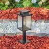 Tieva pedestal light, path light black, 1-light source