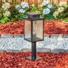 Tieva pedestal light, path light black, 1-light source