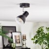 Farel ceiling light, ceiling spotlight chrome, black, 1-light source