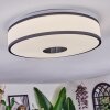 Elran ceiling light LED white, 1-light source