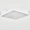 Esmar ceiling light LED white, 1-light source
