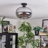 Apedo ceiling light Smoke-coloured, 1-light source