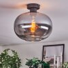Apedo ceiling light Smoke-coloured, 1-light source