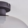 Apedo ceiling light Smoke-coloured, 1-light source