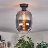 Apedo ceiling light Smoke-coloured, 1-light source