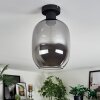 Apedo ceiling light Smoke-coloured, 1-light source
