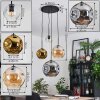 Ripoll hanging light, globe light, Cluster pendant lamp Amber, chrome, gold, clear, Smoke-coloured, 4-light sources