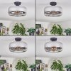 Boza ceiling light chrome, clear, Smoke-coloured, 1-light source