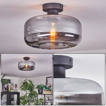 Boza ceiling light Smoke-coloured, 1-light source