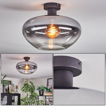 Mertola ceiling light clear, Smoke-coloured, 1-light source