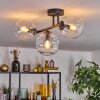 Gastor ceiling light, globe light clear, 3-light sources