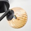 Chehalis ceiling light, globe light Amber, clear, Smoke-coloured, 3-light sources