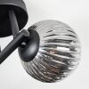 Chehalis ceiling light, globe light Smoke-coloured, 3-light sources