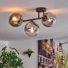 Gastor ceiling light, globe light clear, Smoke-coloured, 3-light sources