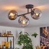 Gastor ceiling light, globe light clear, Smoke-coloured, 3-light sources