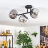 Gastor ceiling light, globe light clear, Smoke-coloured, 3-light sources
