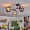 Gastor ceiling light, globe light chrome, clear, Smoke-coloured, 3-light sources