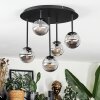 Chehalis ceiling light, globe light Smoke-coloured, 5-light sources