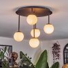 Chehalis ceiling light, globe light white, 5-light sources