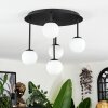 Chehalis ceiling light, globe light white, 5-light sources