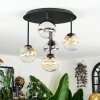 Chehalis ceiling light, globe light Amber, clear, Smoke-coloured, 5-light sources