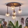 Chehalis ceiling light, globe light clear, 5-light sources