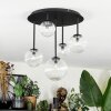Chehalis ceiling light, globe light clear, 5-light sources