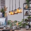 Ripoll hanging light, globe light, pendant light Amber, clear, Smoke-coloured, 4-light sources